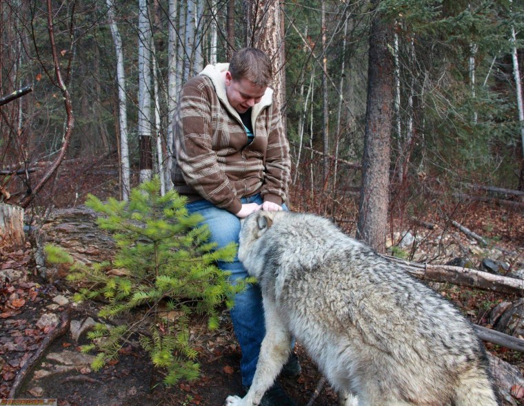 Приколы про Волков
