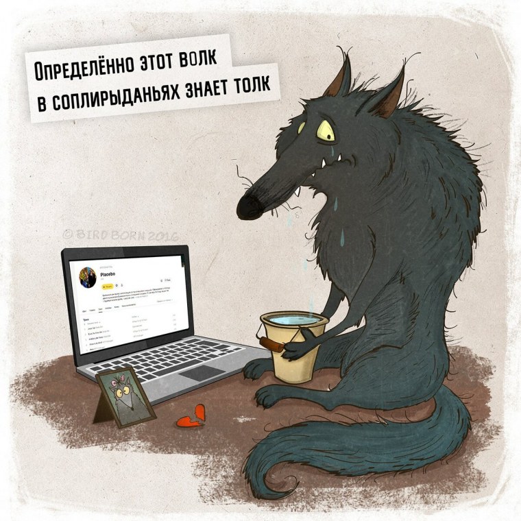 Волк прикол