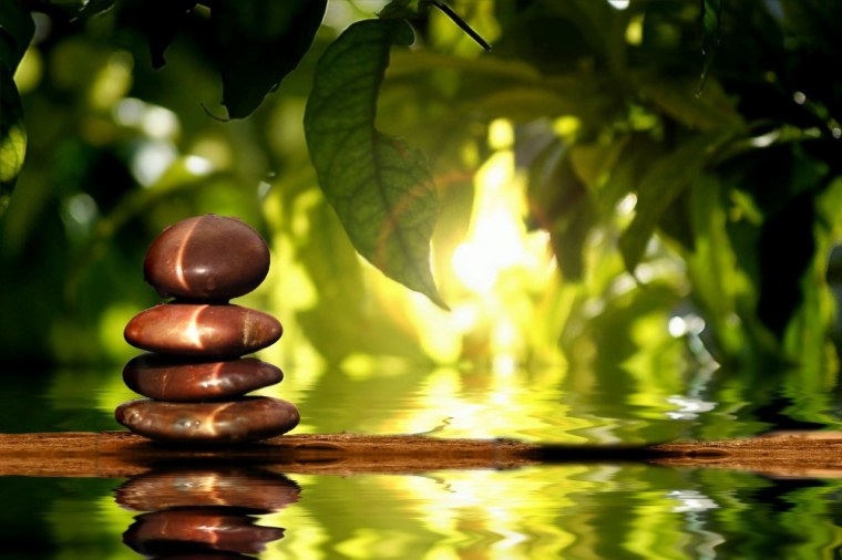 Гармония природы