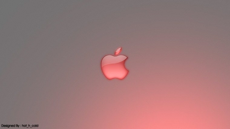 Фиолетовые цветы на белом фоне