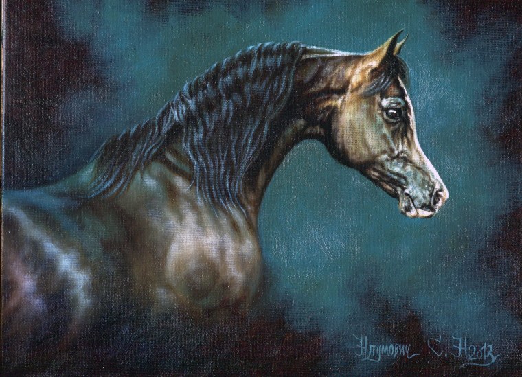 Зарисовки лошадей