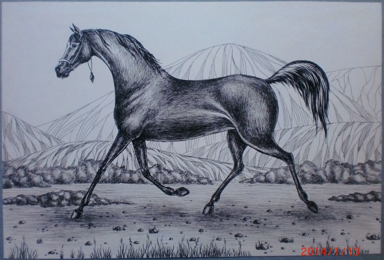 Лошадь тушью