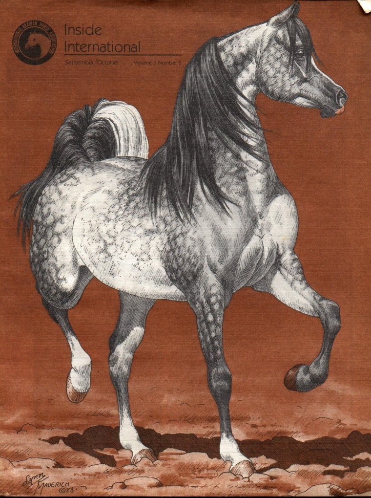 Дарлей Арабиан