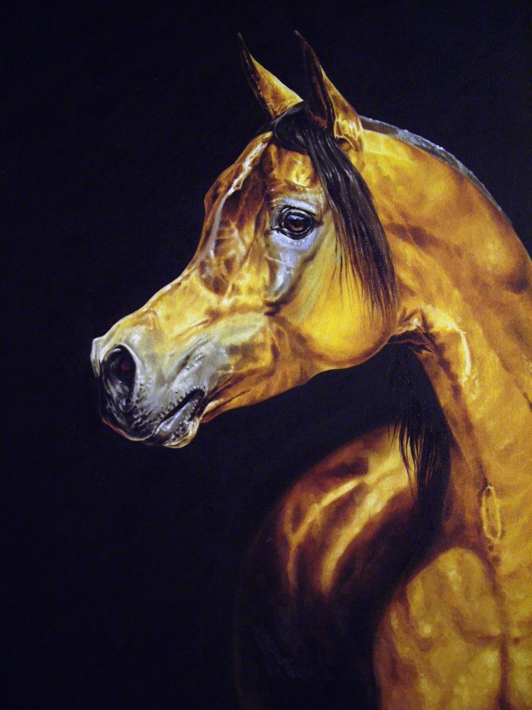 Арабская лошадь пейнт
