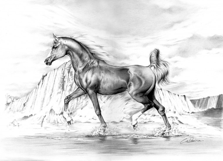 Лошадь вид сбоку