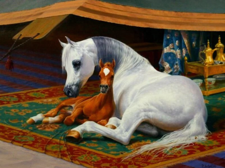 Питер Смит художник арабские лошади