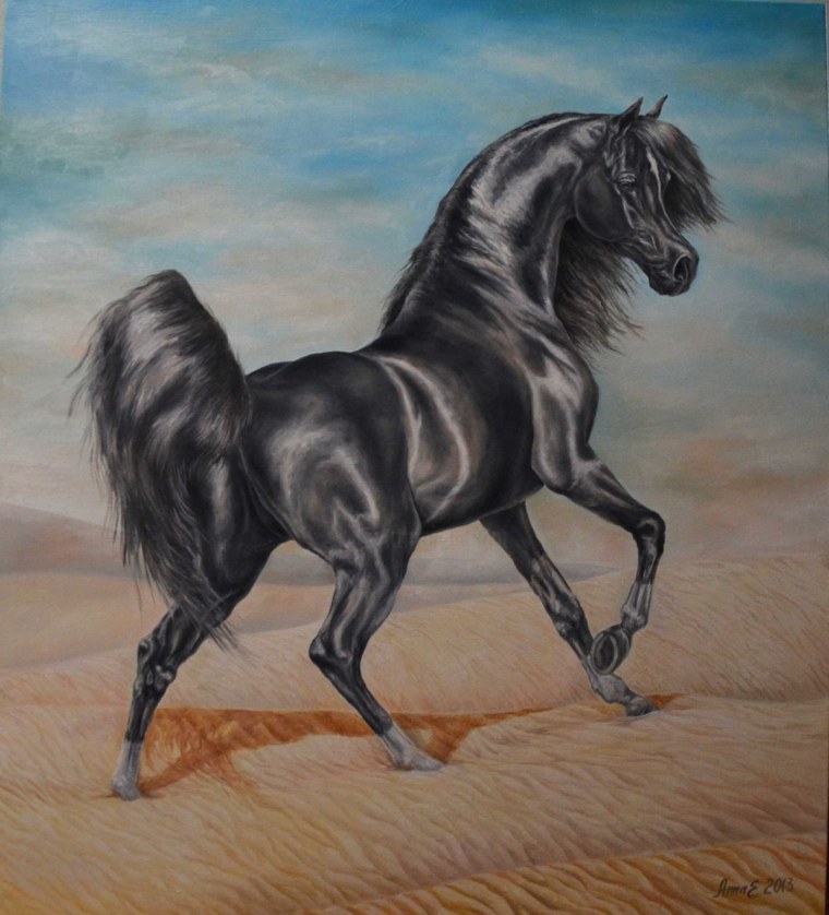 Арабский скакун в пустыне картины