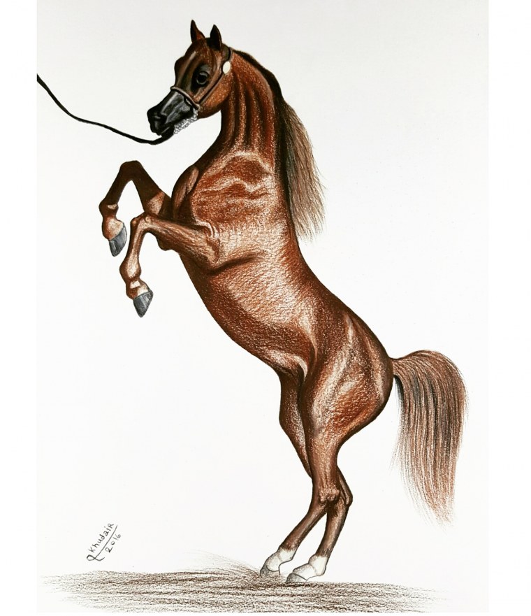 Мустанг лошадь рисунок карандашом
