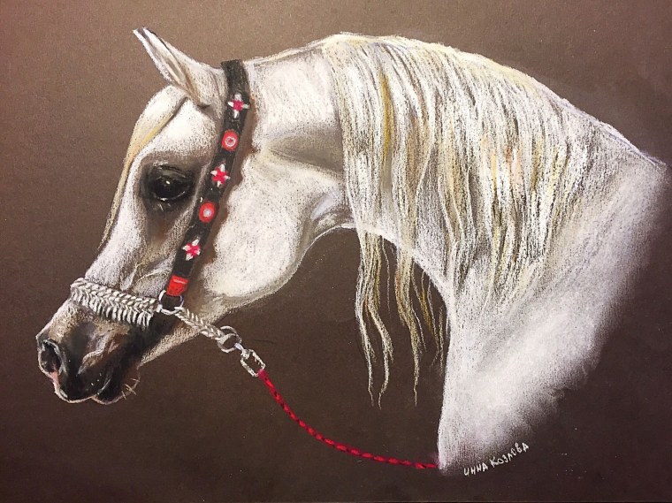 Уши лошади арт