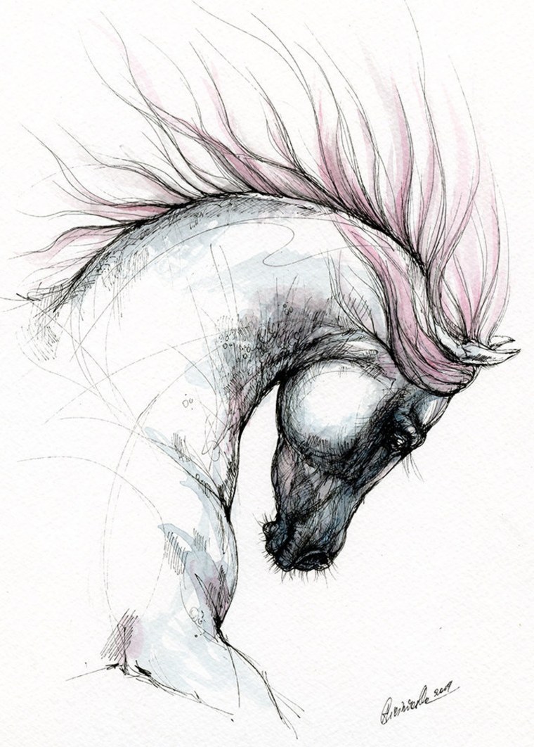 Арабская лошадь раскраска