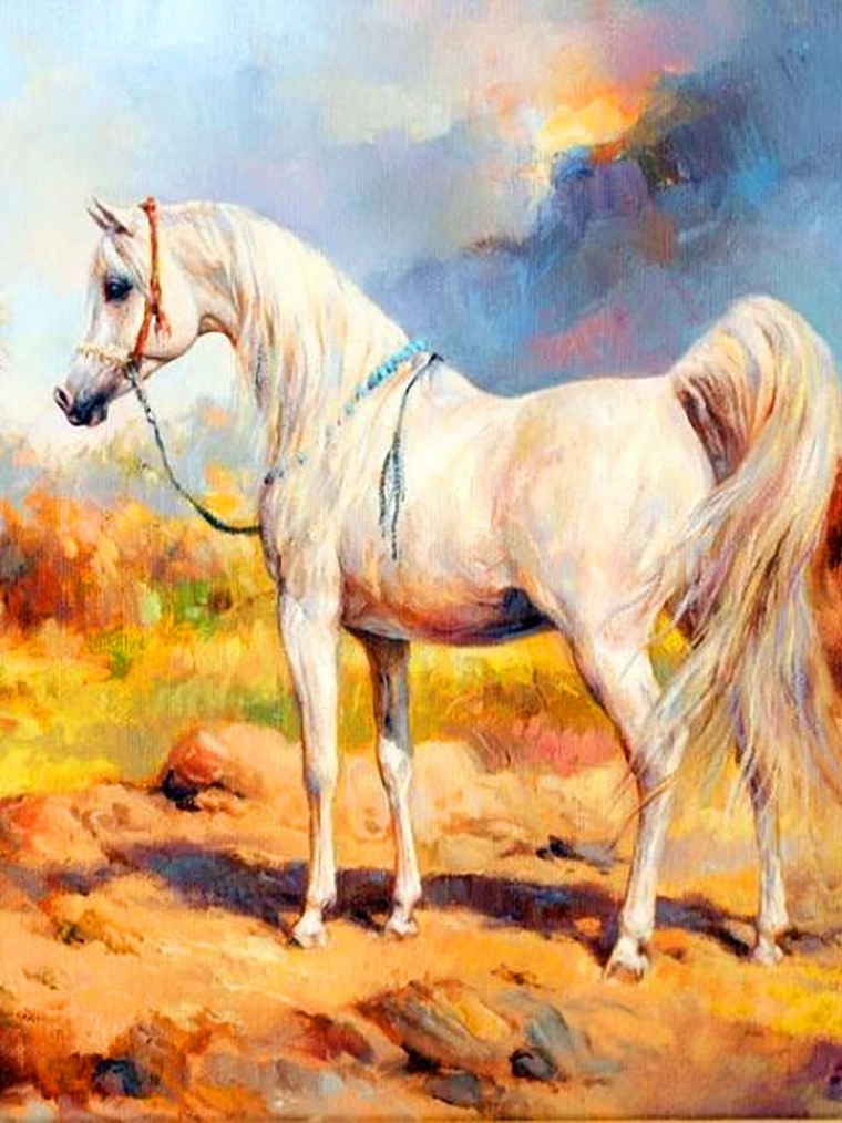 Арабская лошадь пейнт