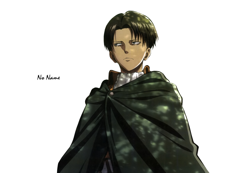 Ханджи Зое с отрядом