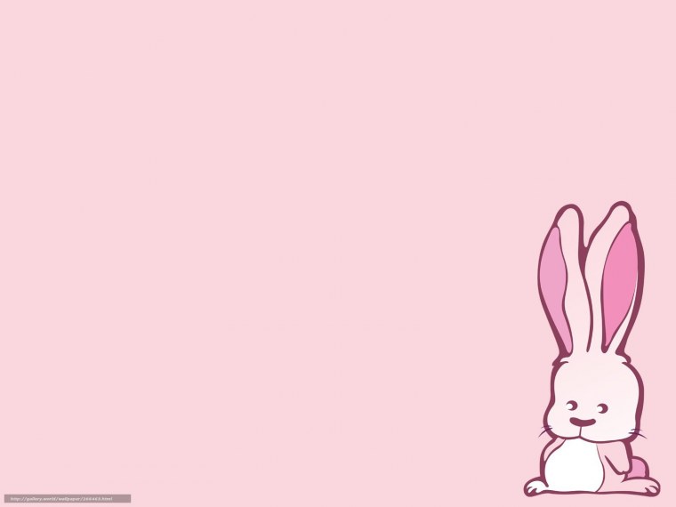 Кролик Минимализм