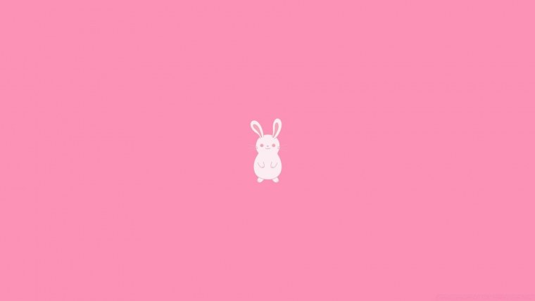 Заяц на черном фоне