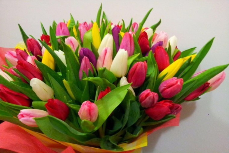 С 8 мартом тюльпаны