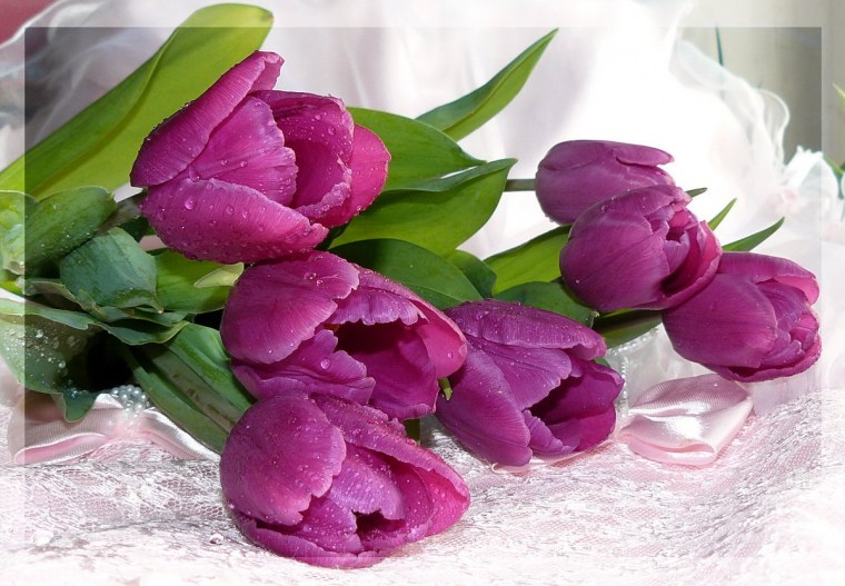 Весенние цветы с пожеланиями