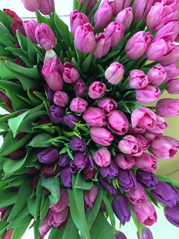 Букет тюльпанов