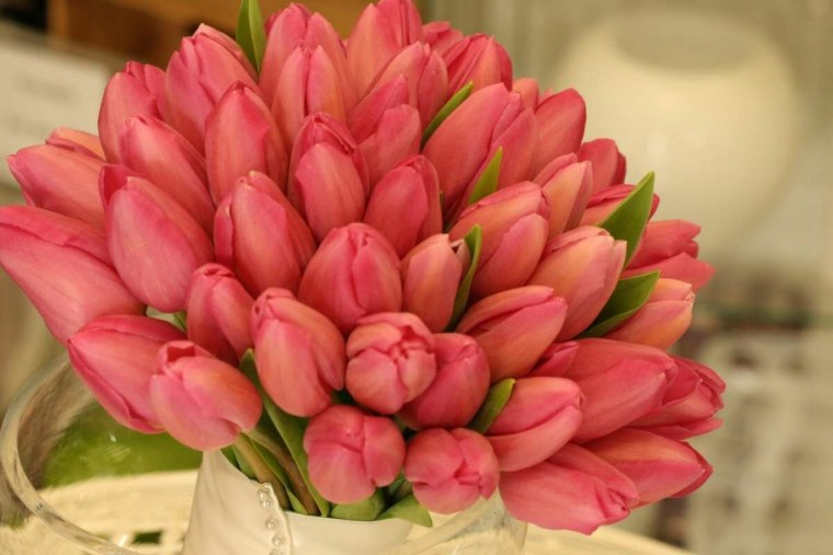 Красивые тюльпаны