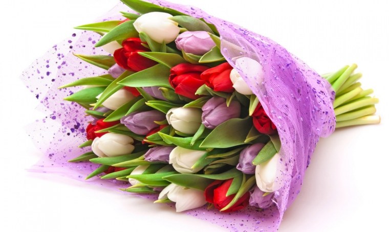 Тюльпаны открытка