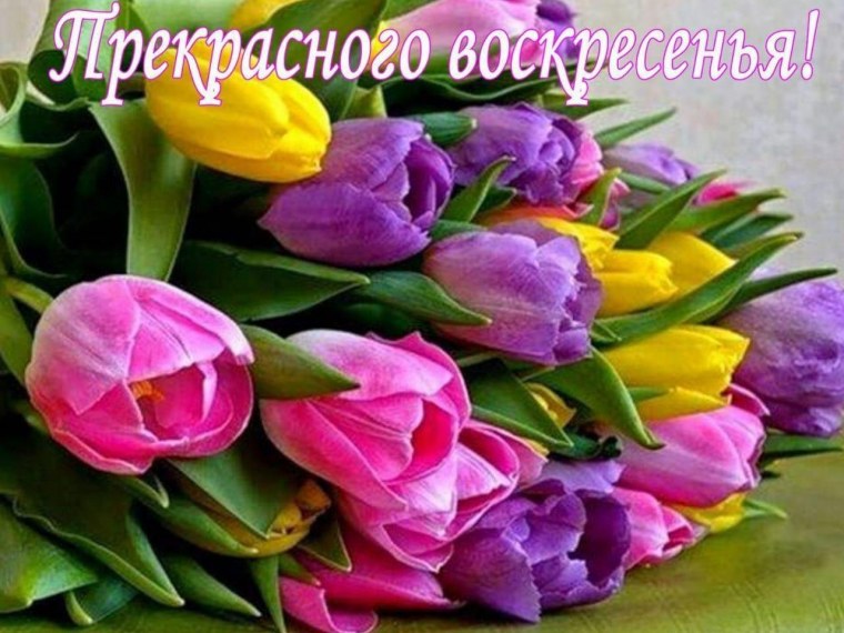 Цветы на 8 марта