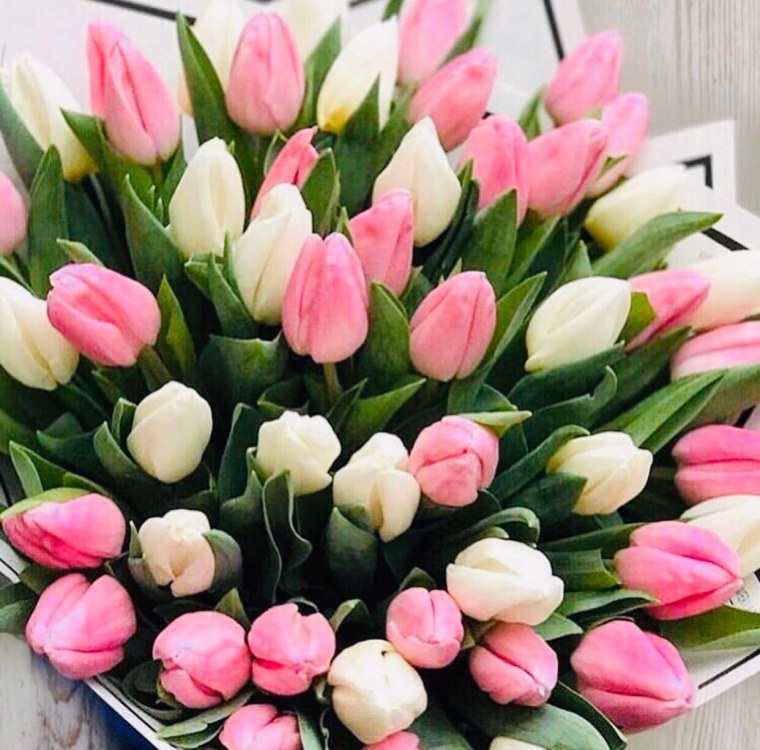 Тюльпаны для любимой