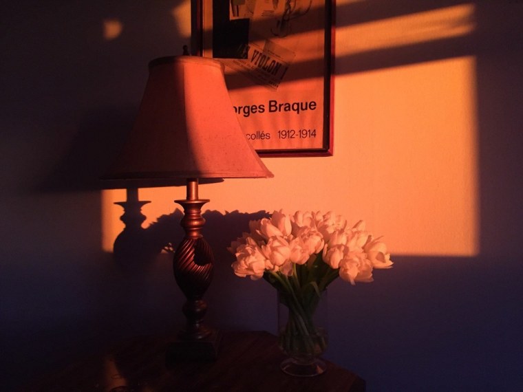 Эстетика коричневого и бежевого