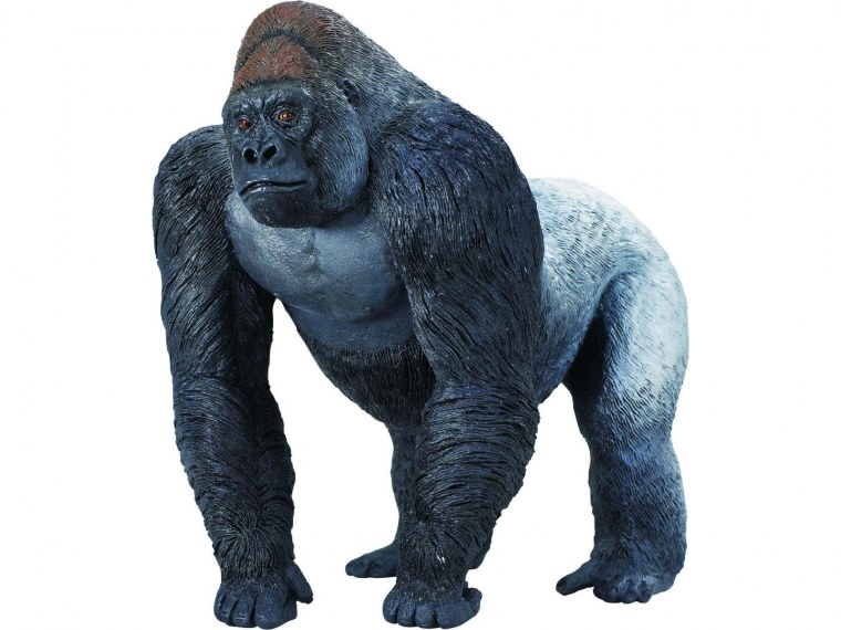 Горилла 3д модель