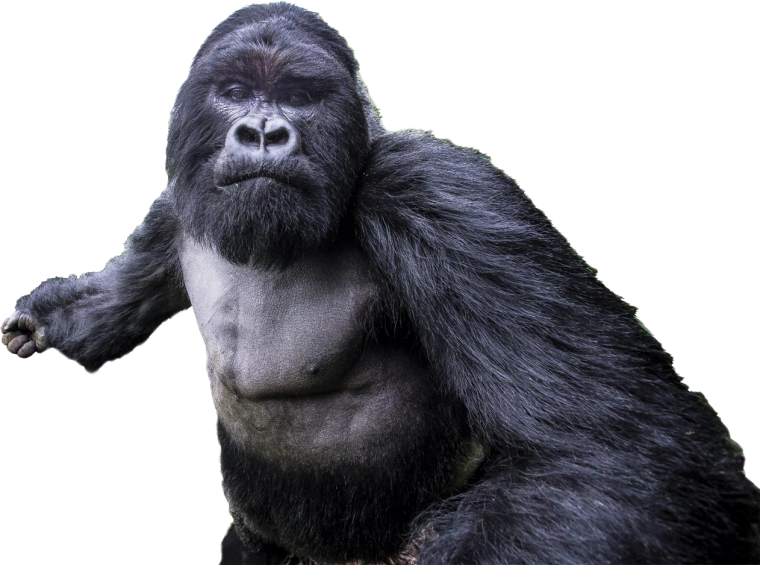 Эмодзи горилла