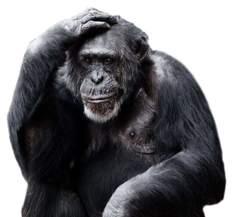 Горилла для детей
