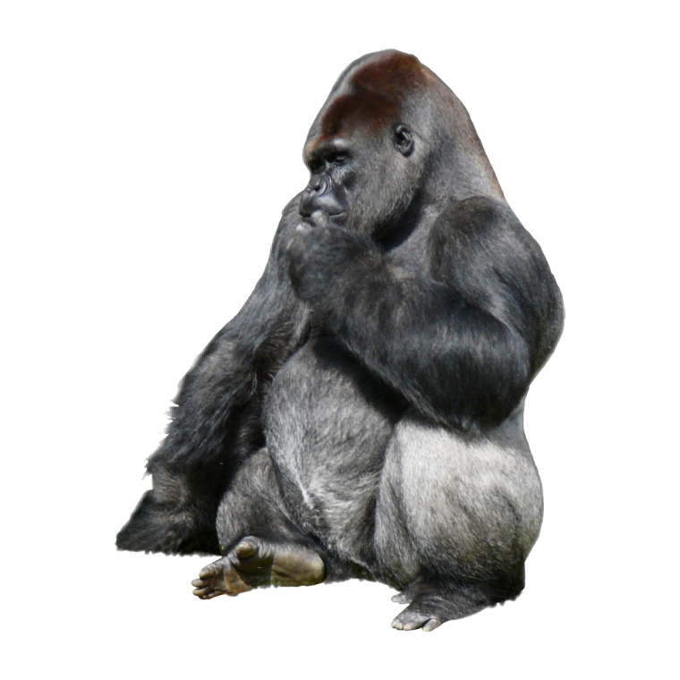 Задумчивая горилла