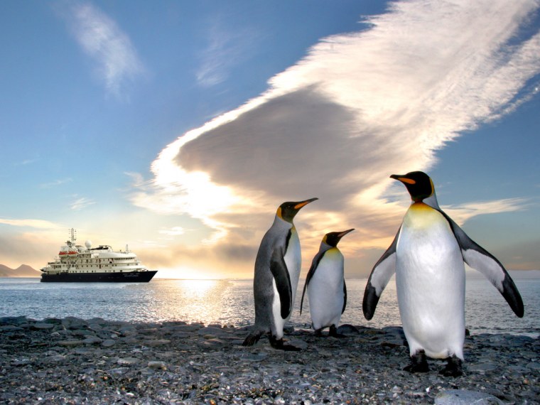 Пингвины на корабле