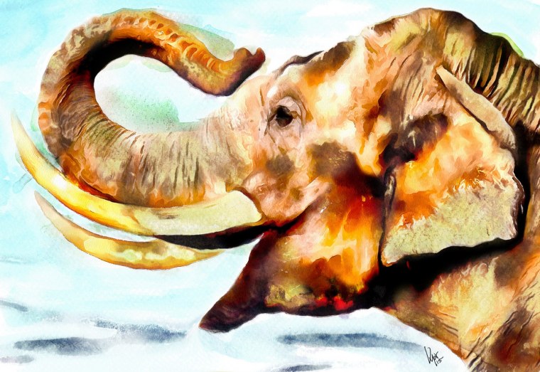 Слон гуашью