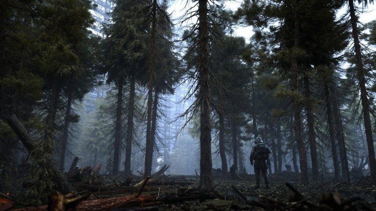 Сталкер 2 лес