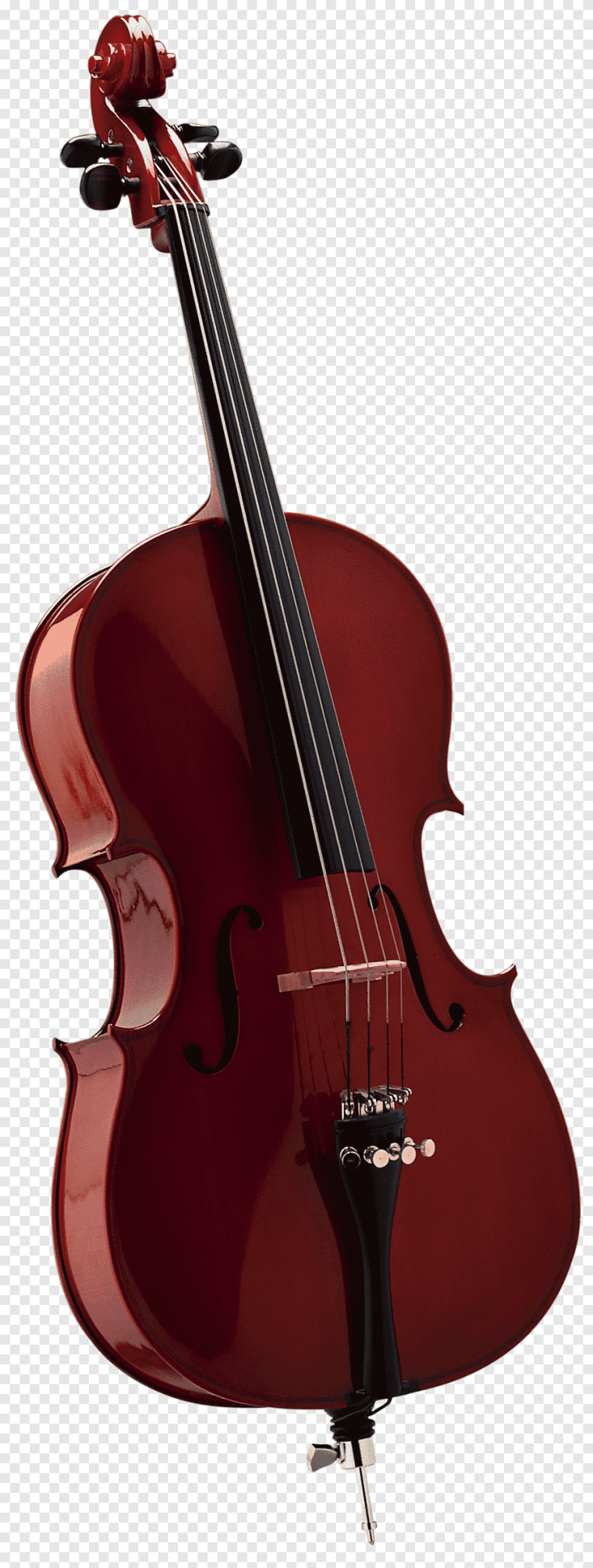 Musician Cello PNG