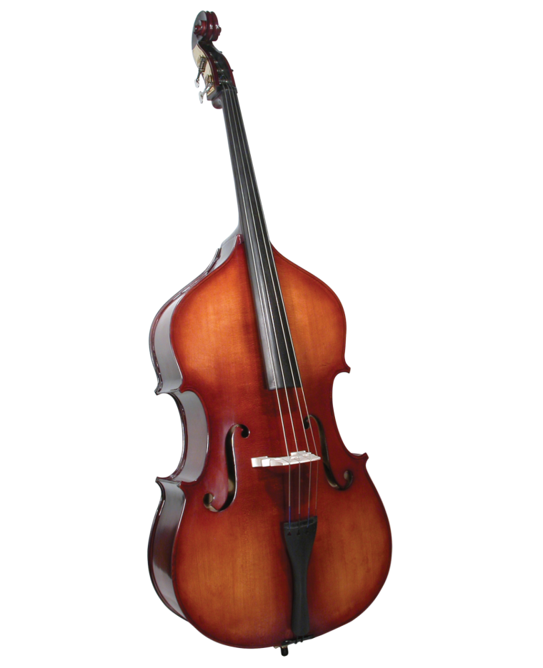 Виолончель Palatino 40c12