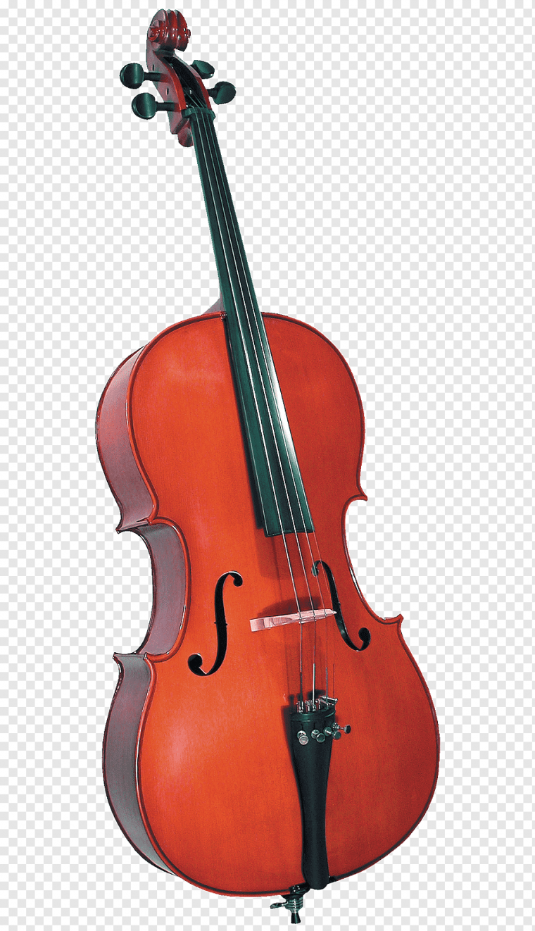 Микеле Тодини контрабас