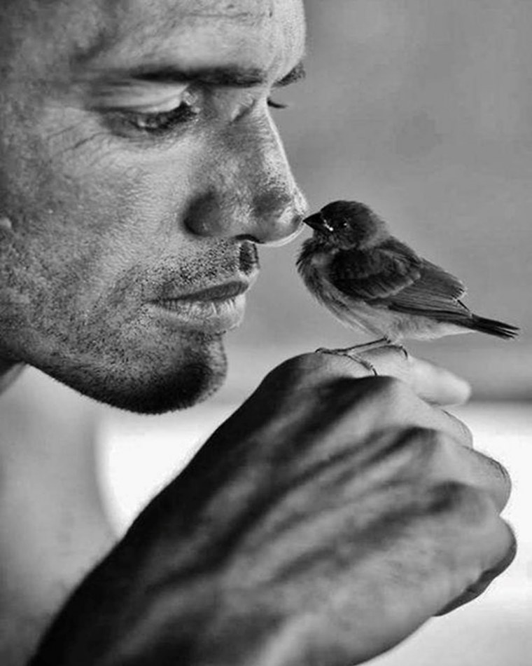 Птицы на руках мужские