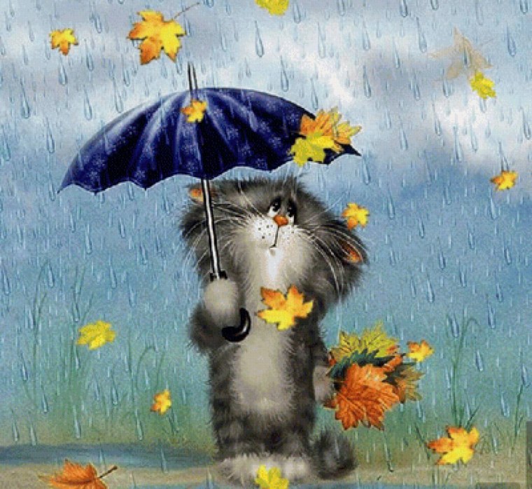 Дождливое утро