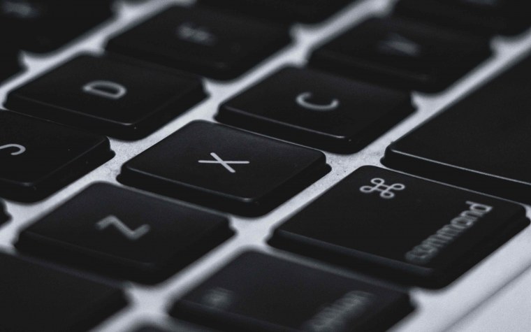 Парные обои авокадо