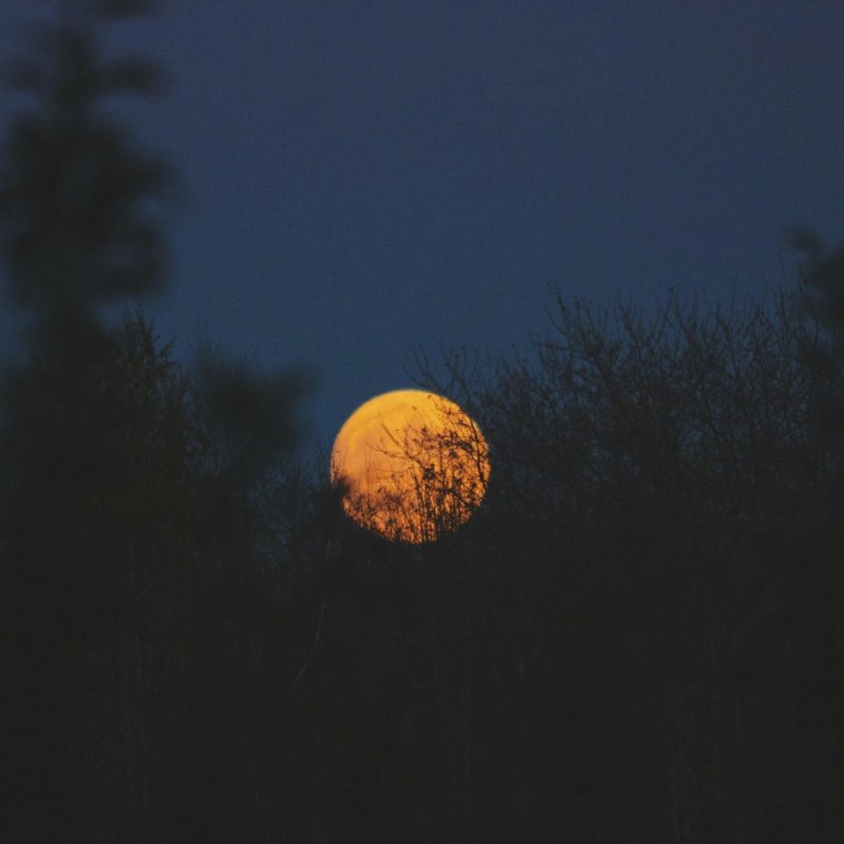 Обои на рабочий стол оранжевая Луна