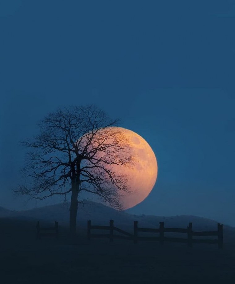 Оранжевая Луна на небе