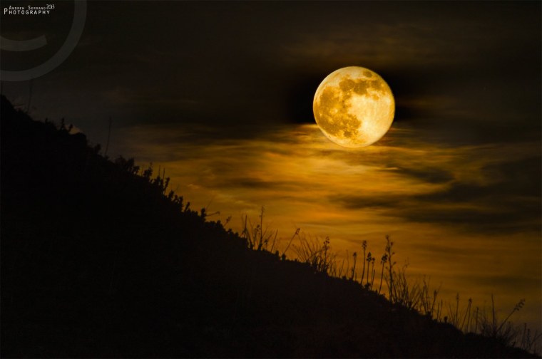 Полная желтая Луна
