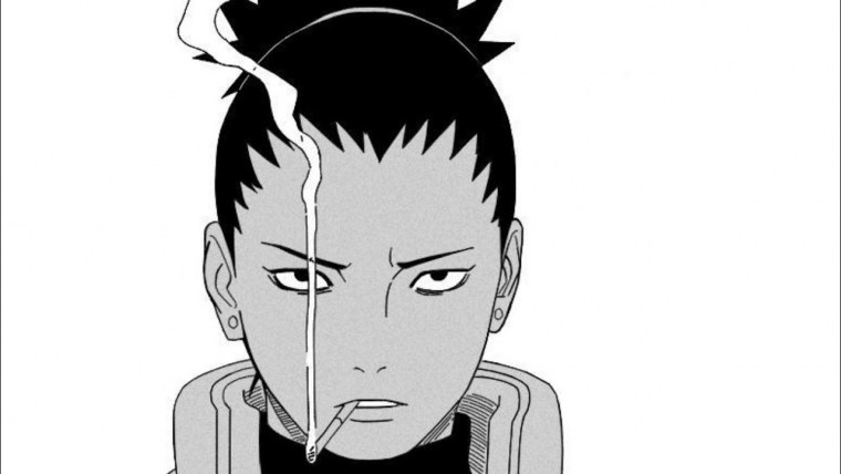 Отец Шикамару Нара