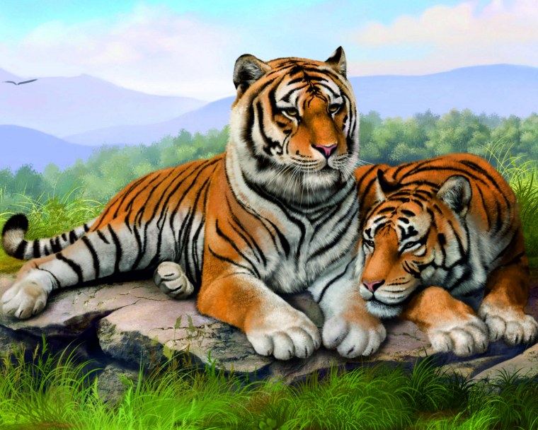 Животные тигр