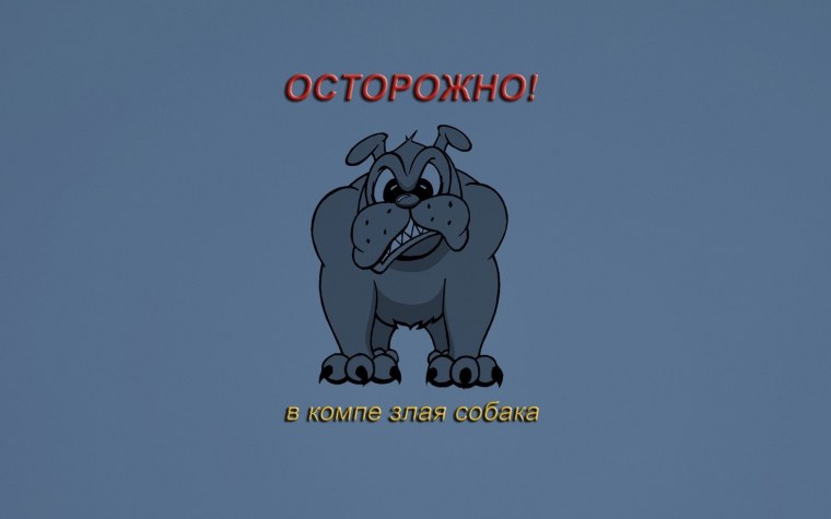 Обои на телефон с надписями на русском смешные