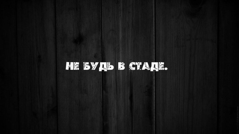 Прикольные фразы на черном фоне