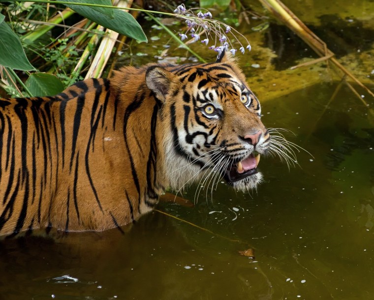 Шедевры фотоискусства