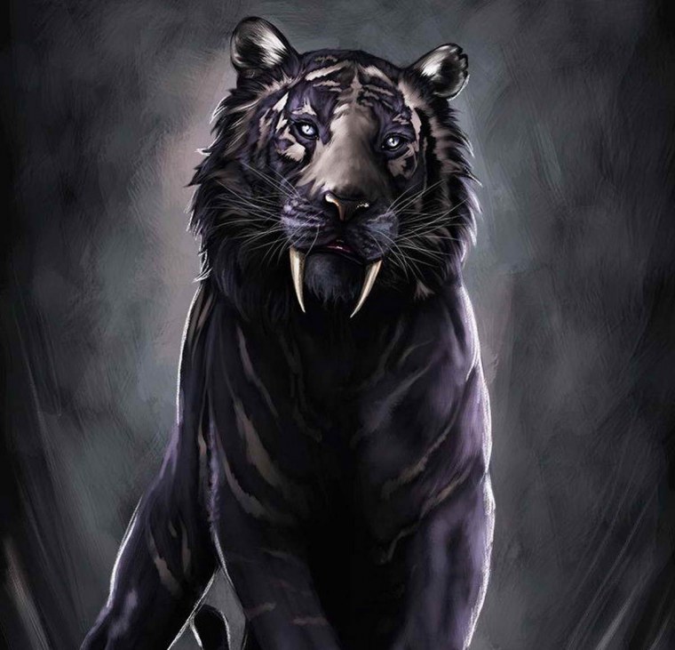 Черный тигр фото