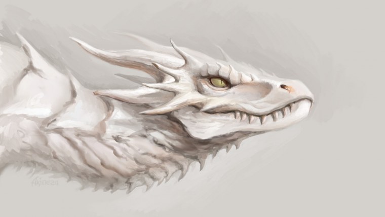 White Dragon (белый дракон) DC