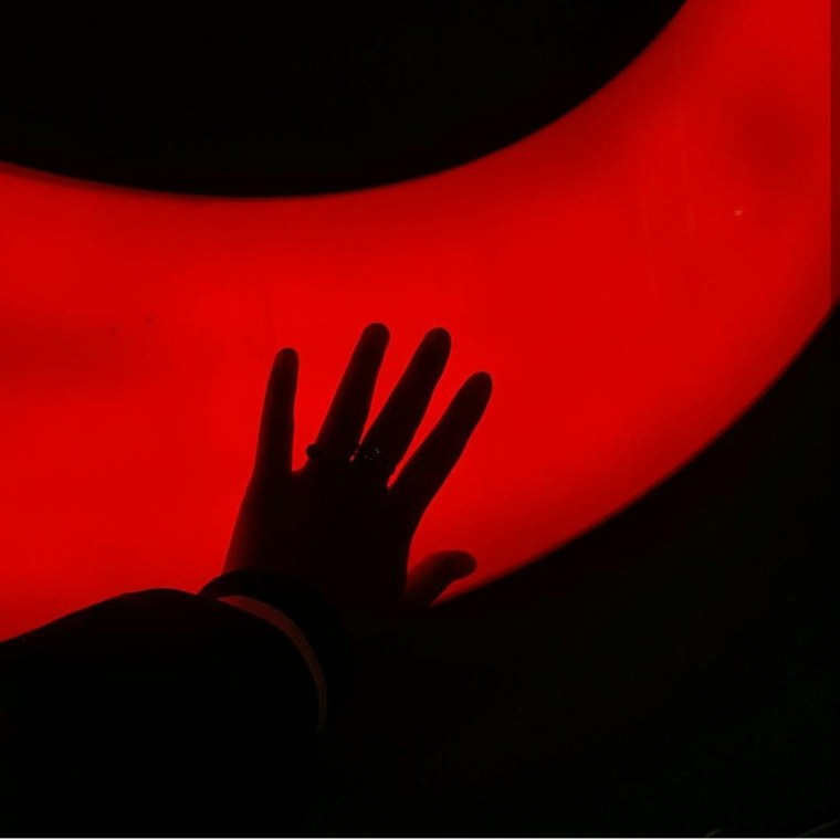 Дарк Роуз Эстетика